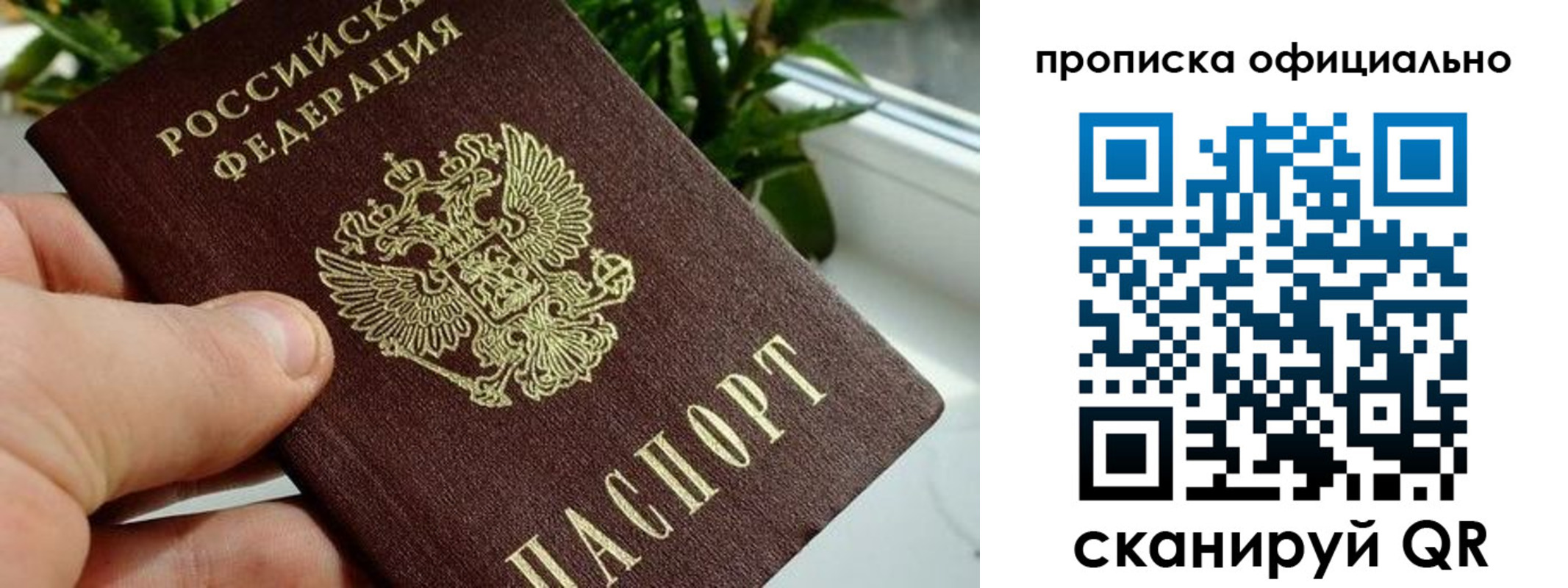 прописка поиск в Искитиме